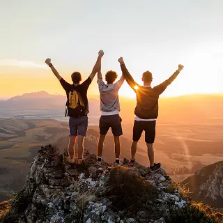 电脑排版学什么软件